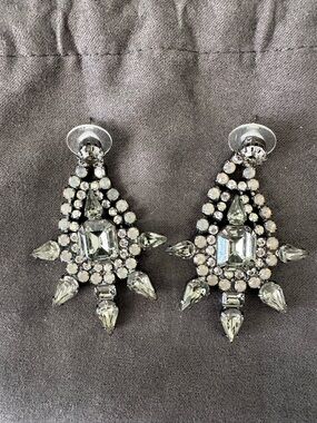Elizabeth Cole Crystal Statement Drop Earrings